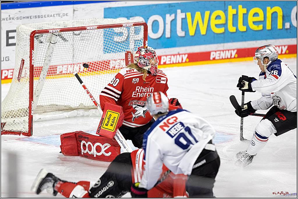PENNY DEL;  Kölner Haie - Nuernberger Ice Tigers; Köln, 18.11.2022